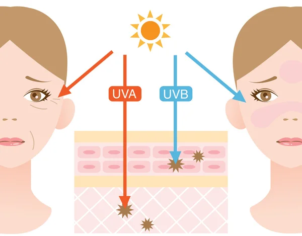 Інфографічна ілюстрація шкіри. різниця між проникненням UVA та UVB променів — стокове фото