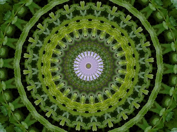 Schöner Kaleidoskop Hintergrund Abstraktes Textur Und Design — Stockfoto