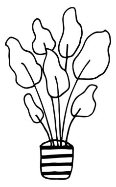 Çizgili vazoda kapalı bir bitki. Doodle tarzında el çizimi. Vektör EPS 10