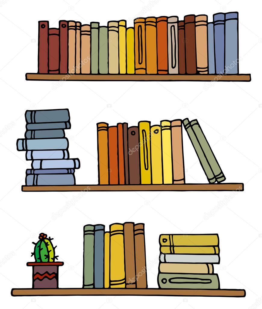 Bookshelves with books and cactus for notebooks, posters, postcards. Vector EPS 10