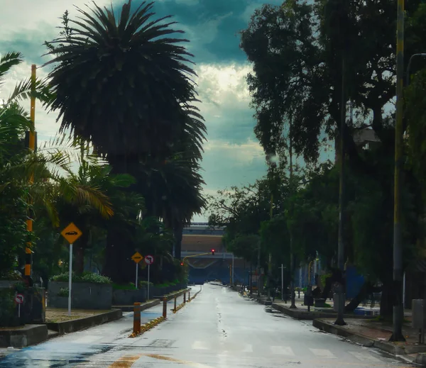 Şehrin ortasında ıslak, boş bir yol.