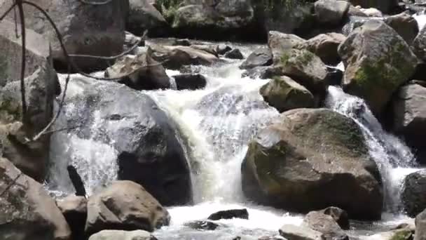 Wide Creek Skały Woda Widziane Bardzo Blisko — Wideo stockowe