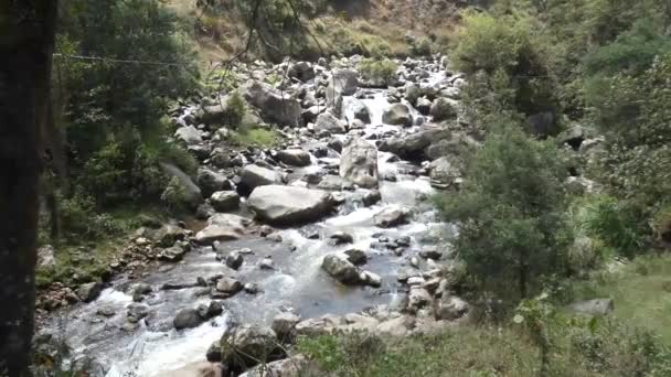 Grands Ruisseaux Écoulement Eau Entouré Arbres Collines — Video