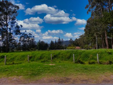 Yolun bir tarafında otlaklar ve ağaçlarla çevrili.