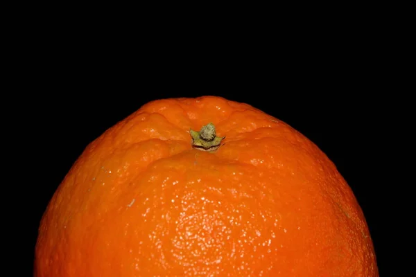 黒を背景にオレンジの実が — ストック写真