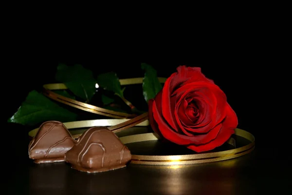 Studio Rose Rouge Avec Ruban Doré Bonbons Chocolat Sur Fond — Photo