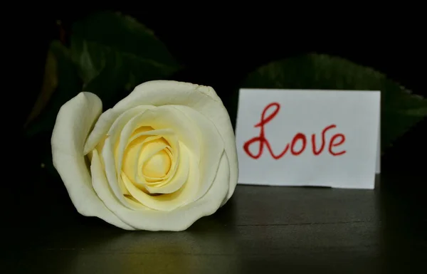 白玫瑰和印有深爱黑色背景字样的明信片 — 图库照片