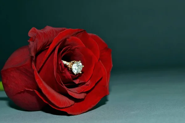 用订婚戒指把一朵红玫瑰的花蕾合上 — 图库照片