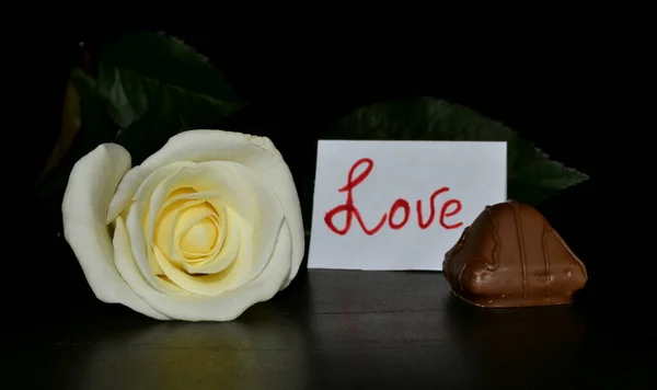 Studio Rosa Bianca Sfondo Nero Foglia Bianca Con Iscrizione Amore — Foto Stock