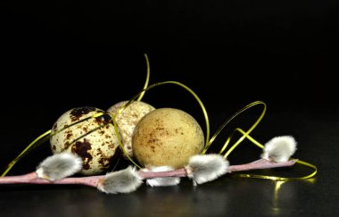 Paskalya bıldırcın yumurtaları ve siyah arka planda altın kurdeleli söğüt dalları. Metin için boşluk