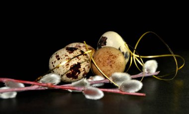 Paskalya bıldırcın yumurtaları ve siyah arka planda altın kurdeleli söğüt dalları.