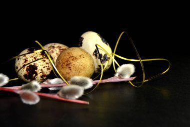 Paskalya bıldırcın yumurtaları ve siyah arka planda altın kurdeleli söğüt dalları.