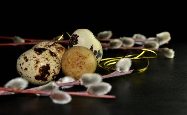 Paskalya bıldırcın yumurtaları ve siyah arka planda altın kurdeleli söğüt dalları.