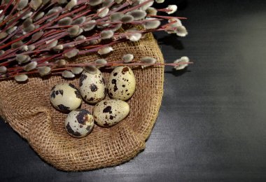 Üst düzey Paskalya bıldırcın yumurtaları poşetleme ve söğüt dalları koyu bir arka planda