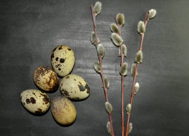 Üst manzara Paskalya bıldırcın yumurtaları ve söğüt dalları koyu bir arka planda