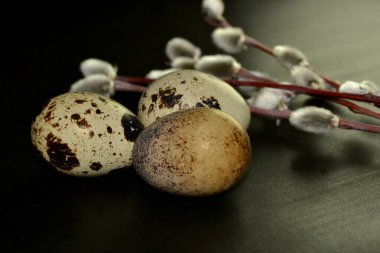 Karanlık bir arka planda Paskalya bıldırcın yumurtaları ve söğüt dalları.