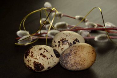 Paskalya yumurtaları ve arka planda altın kurdeleli söğüt dalları