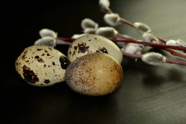 Karanlık bir arka planda Paskalya bıldırcın yumurtaları ve söğüt dalları.