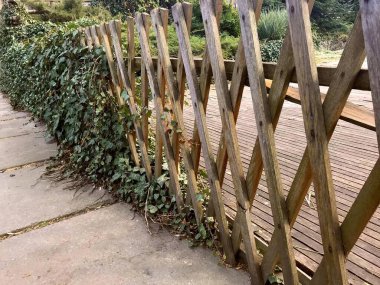 Yeşilliklerle kaplı eski ahşap bahçe çiti.