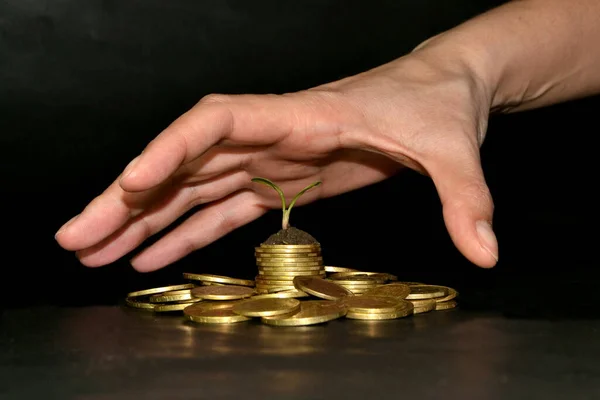 business investment growth concept. pile of coins with small tree and human hand want to take a money. Black background.