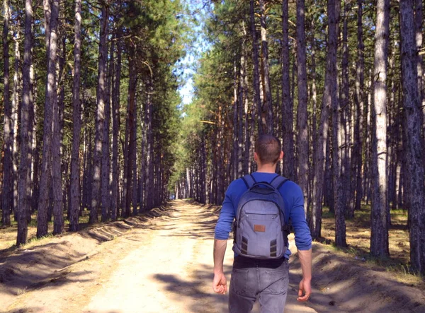 Rear View Man Backpack Hiking Forest — Stock Photo, Image