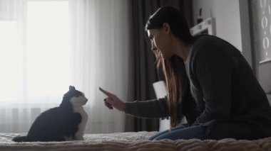 Genç bir kadın sıcak bir yatak odasında sevimli evcil kedisiyle oynuyor. Sevgi, ilgi ve evcil hayvan arasındaki sıcak atmosfer.