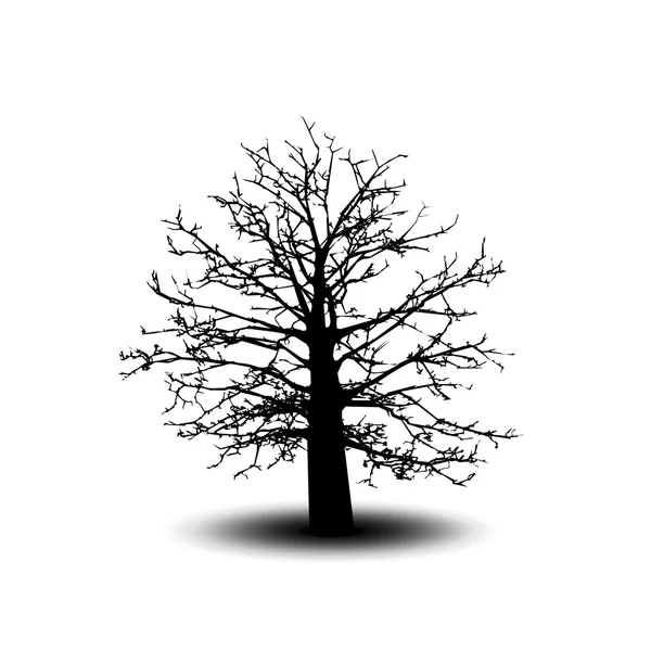 Silueta de árbol negro aislada sobre fondo blanco, vector — Archivo Imágenes Vectoriales