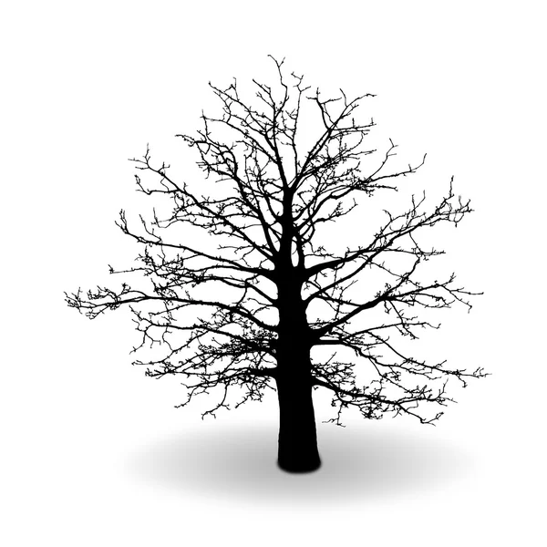 Silueta de árbol negro aislada sobre fondo blanco, vector — Vector de stock