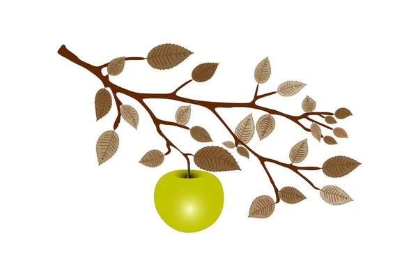 Πράσινο Μήλο Κλαδί Δέντρου — Διανυσματικό Αρχείο