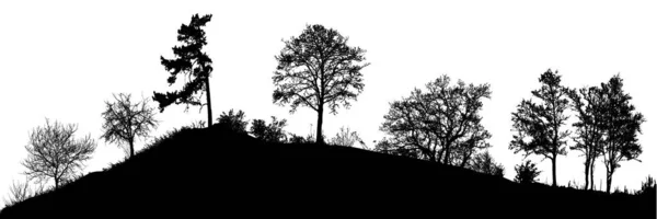 Natürliche Silhouette Von Bäumen Vektor Illustration Eps10 — Stockvektor