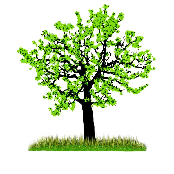 Εικονογράφηση του δέντρου όμορφη άνοιξη με φρέσκα φύλλα νέα και γρασίδι. — Φωτογραφία Αρχείου