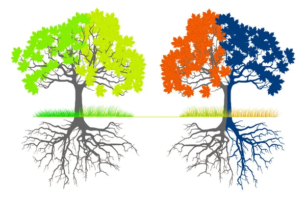 Ein Baum in vier verschiedenen Jahreszeiten (Frühling, Sommer, Winter und Herbst)) — Stockfoto