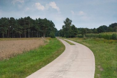 Her iki tarafında tarlalar ve ormanlar olan kırsal kesime giden beton yol. Tarım altyapı yolu betondan yapılmış, tipik kırsal bölgeler için. Taşımacılık, tarım ve sayım için elverişli doğal doğa manzarası