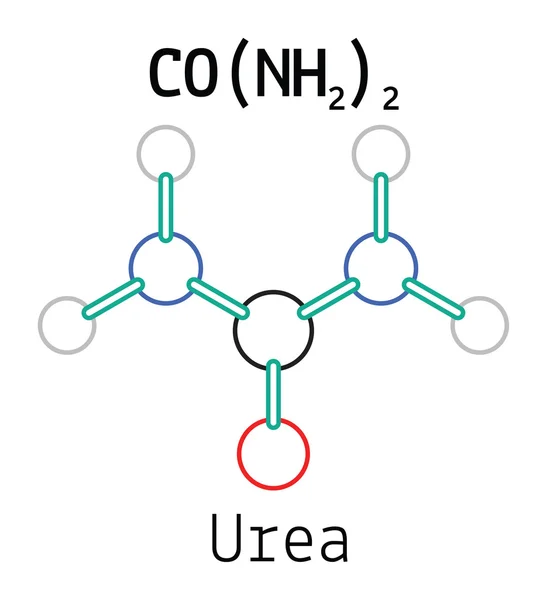 Ch4n2o Harnstoff-Molekül — Stockvektor