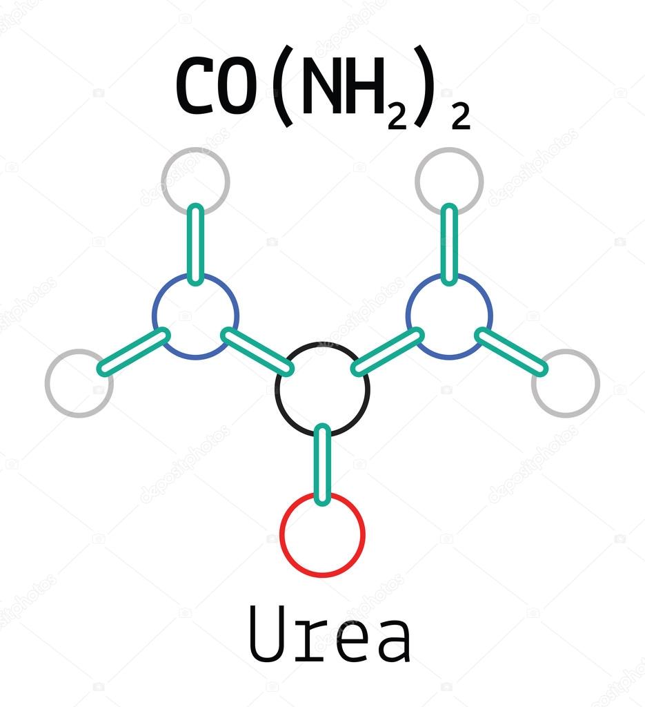 CH4N2O urea molecule