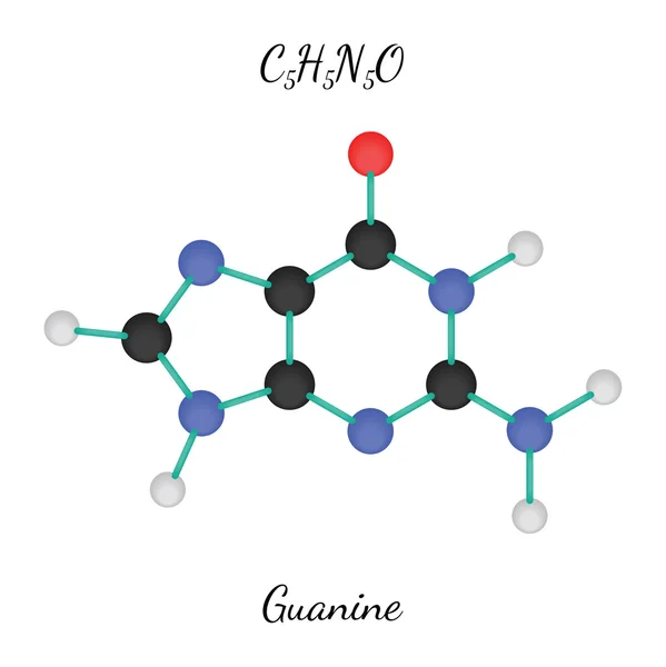 C5H5N5O molécula de guanina — Vector de stock