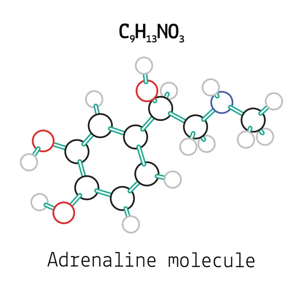 C9H13NO3 adrenaline molecule — Stock Vector