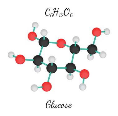 C6h12o6 glikoz molekül