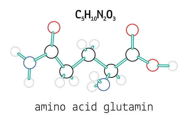 C5H10N2O3 молекула глутамина аминокислоты — стоковый вектор