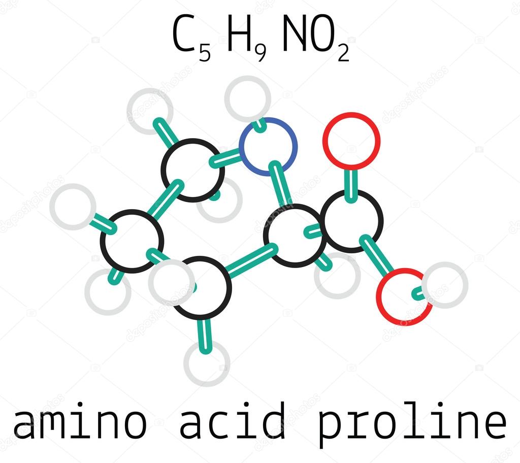 proline aminozuur proline aminozuur