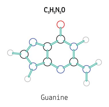 C5h5n5o guanin molekül