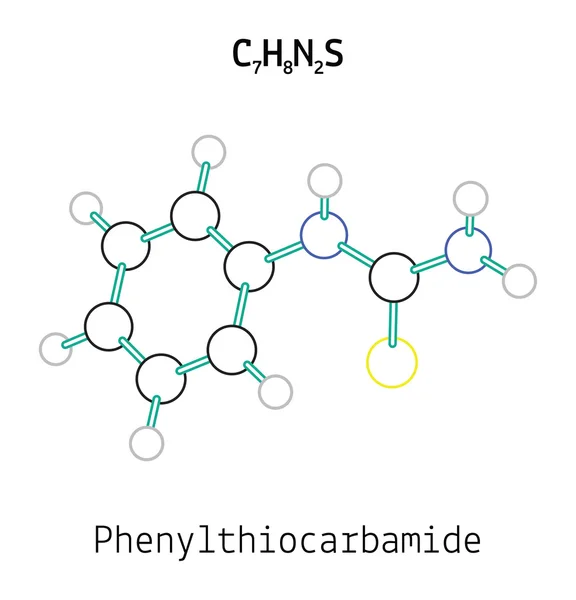 C7H8N2S Molécula de feniltiocarbamida —  Vetores de Stock