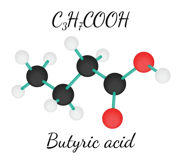 C3H7COOH Molécula de ácido butírico — Vector de stock