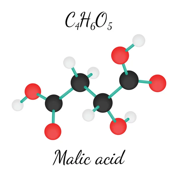 C4H6O5 Molécula de ácido málico — Vector de stock