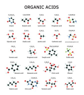 Organic acids molecules set clipart
