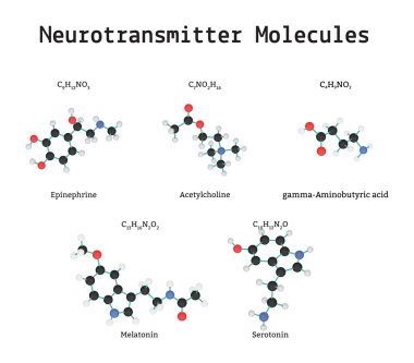 Neurotransmitter molecules set clipart