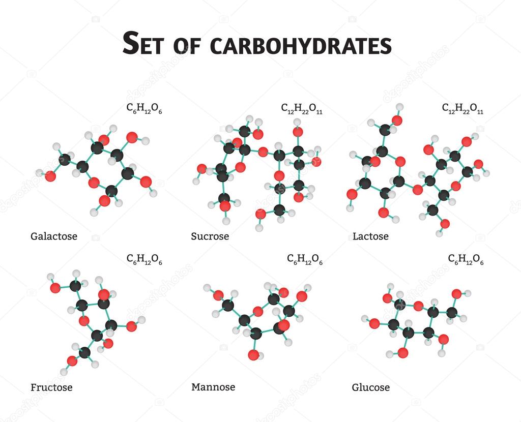 Digestión y Absorción de los Carbohidratos | Concise Medical Knowledge, image size:1024x830