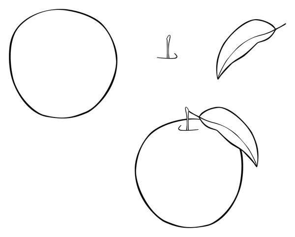 庭園 - 1 つの葉を持つ素敵なラウンドのリンゴ — ストックベクタ