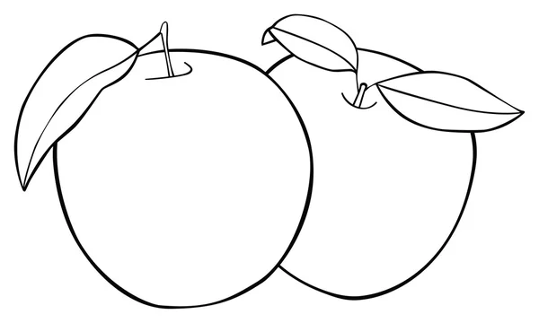 Delicioso jardín - Conjunto de dos manzanas con tres hojas — Archivo Imágenes Vectoriales
