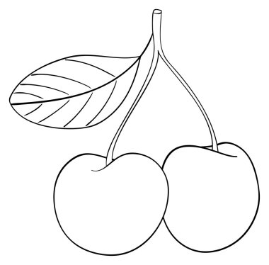 Keyifli bahçe - iki kiraz bir kök ile birlikte bağlı 